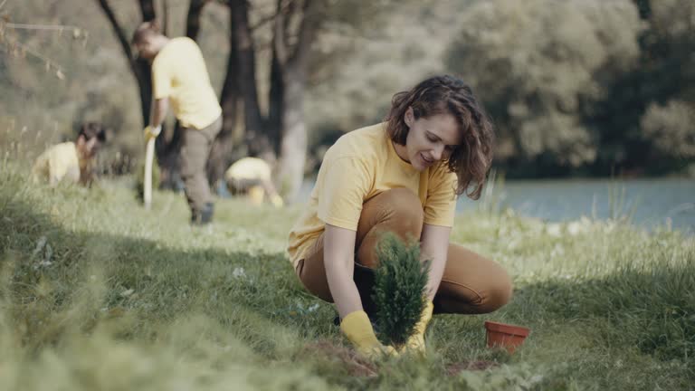 Best Lawn Maintenance Plans  in Irwin, SC