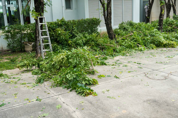 Best Storm Damage Tree Cleanup  in Irwin, SC